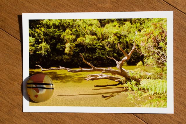 River in New Zealand