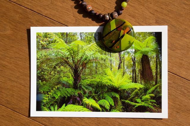 Ferns, Lake Matheson, New Zealand