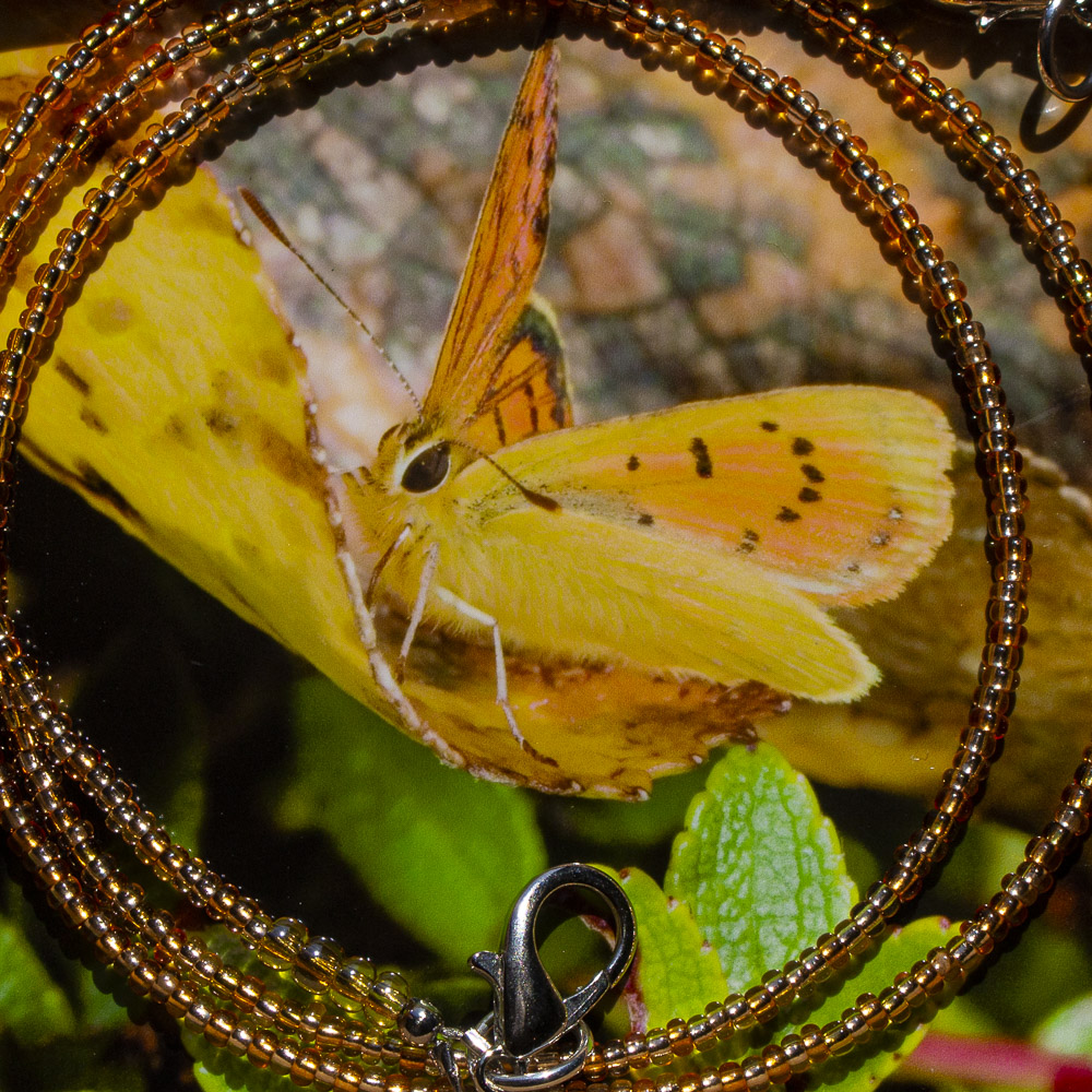 Yellow moth and mask lanyard